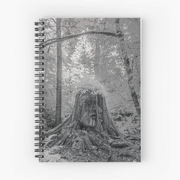 Item preview, god faces west, 2011 designed and sold by jacksonphotografix-landscapes.
