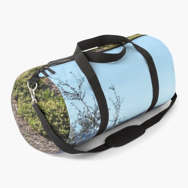 Item preview, East County San Diego Landscape designed and sold by heatherfriedman.