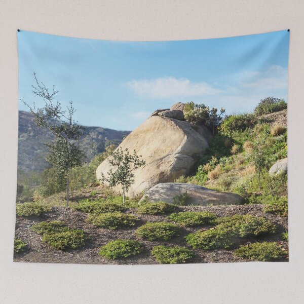 Item preview, East County San Diego Landscape designed and sold by heatherfriedman.