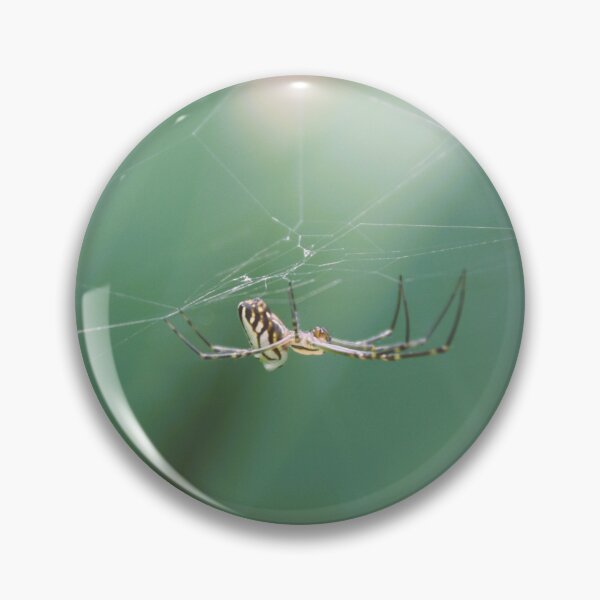 Item preview, Spider Webbing it's Home  designed and sold by Ivy's Creations.