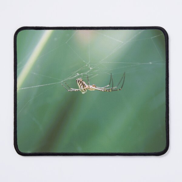 Item preview, Spider Webbing it's Home  designed and sold by Ivy's Creations.