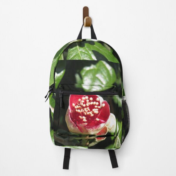 Item preview, Opening feijoa flower designed and sold by greentiger1.