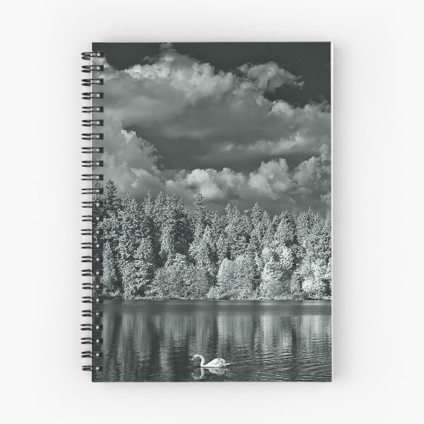 Item preview, swan song - lost lagoon, 2011 designed and sold by jacksonphotografix-landscapes.