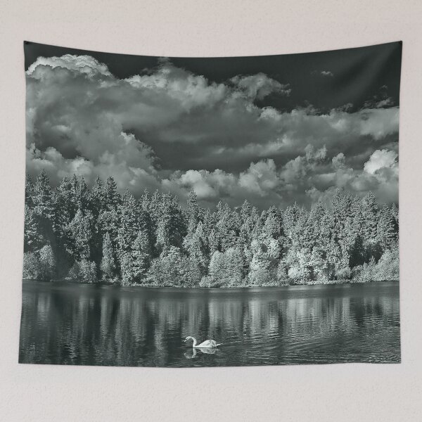 Item preview, swan song - lost lagoon, 2011 designed and sold by jacksonphotografix-landscapes.
