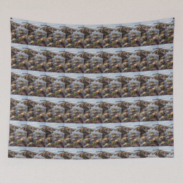 Item preview, Crabs in the ‘Pools  designed and sold by Karen Persephone .