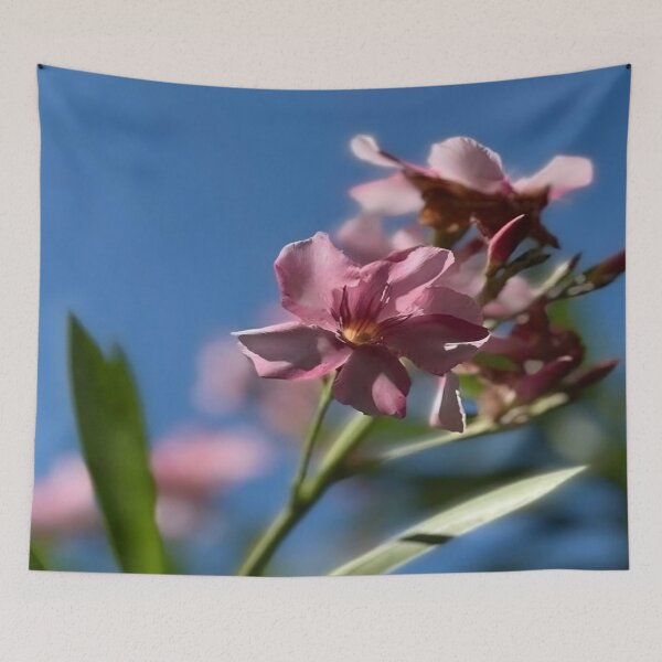 Item preview, Pink Sunlight | Radiant Oleander with Blue Sky | Summer Botanical Photography designed and sold by karina360.