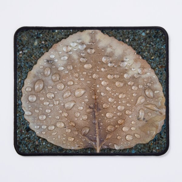 Item preview, Fall Leaf designed and sold by Jeffrey Ralph.