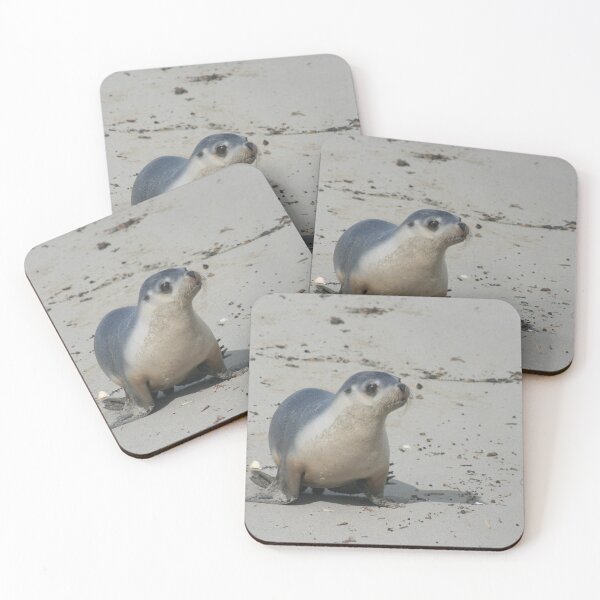 Item preview, Australian Sea Lion Pup on Beach designed and sold by CPhotographs.