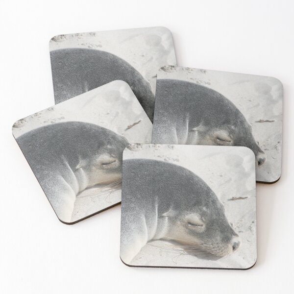 Item preview, Sleeping Australian Sea Lion Side Profile designed and sold by CPhotographs.