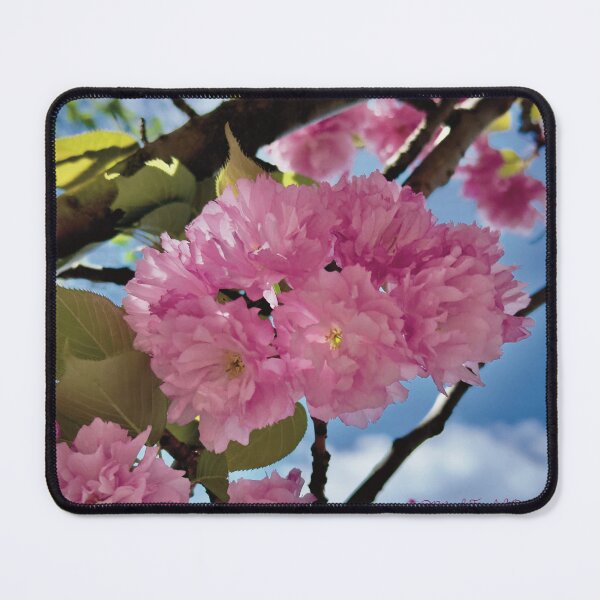 Item preview, Pink Japanese Cherry Blossoms designed and sold by BlurpleTwinkle.