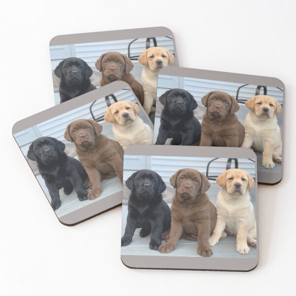 Item preview, Three Llittle cute Dogs designed and sold by areezh.