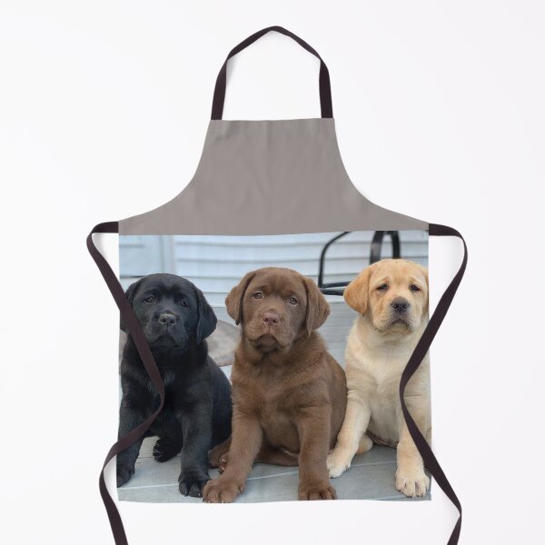 Item preview, Three Llittle cute Dogs designed and sold by areezh.
