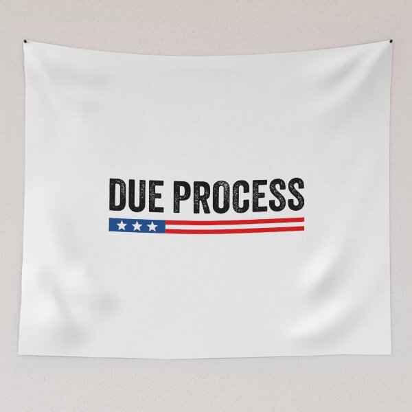 Item preview, Due Process Anti-ICE designed and sold by PixVib.