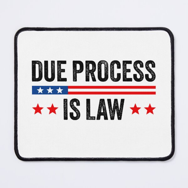 Item preview, Due Process Is Law - No ICE | Pro Immigrants designed and sold by PixVib.