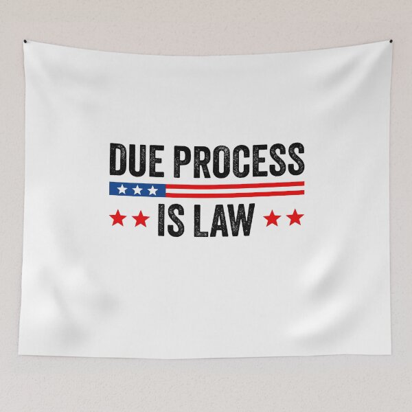 Item preview, Due Process Is Law - No ICE | Pro Immigrants designed and sold by PixVib.
