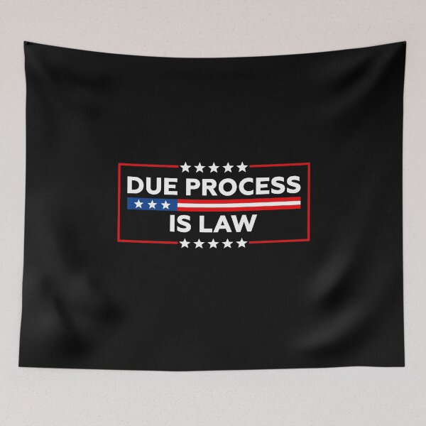Item preview, Due Process Is Law | Pro Immigrants designed and sold by PixVib.