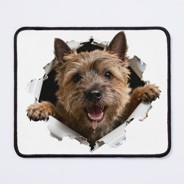 Item preview, They are coming for... designed and sold by forget45studio.