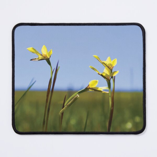 Item preview, Golden Moth Orchids Under a Blue Sky designed and sold by Maddy the Maker.