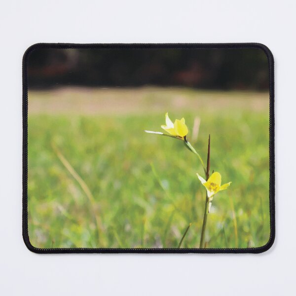 Item preview, Golden Moth Orchids in a Grassy Clearing designed and sold by Maddy the Maker.