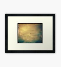 Like a bird on a wire... Framed Print