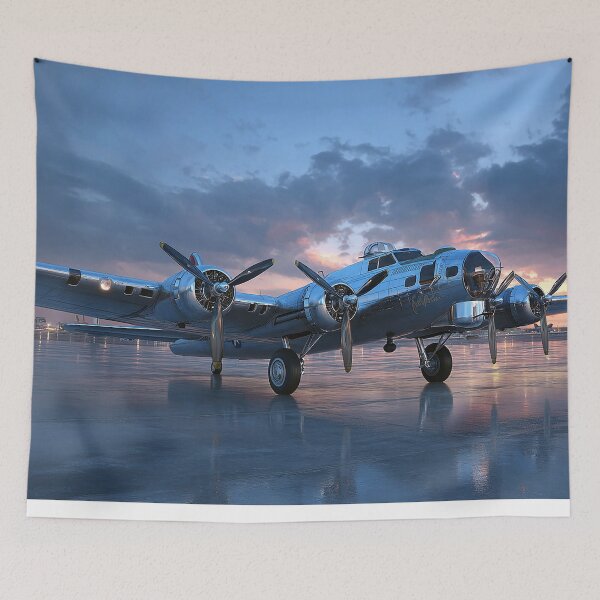 Item preview, B17 Flying Fortress designed and sold by Skyframe Aviation.
