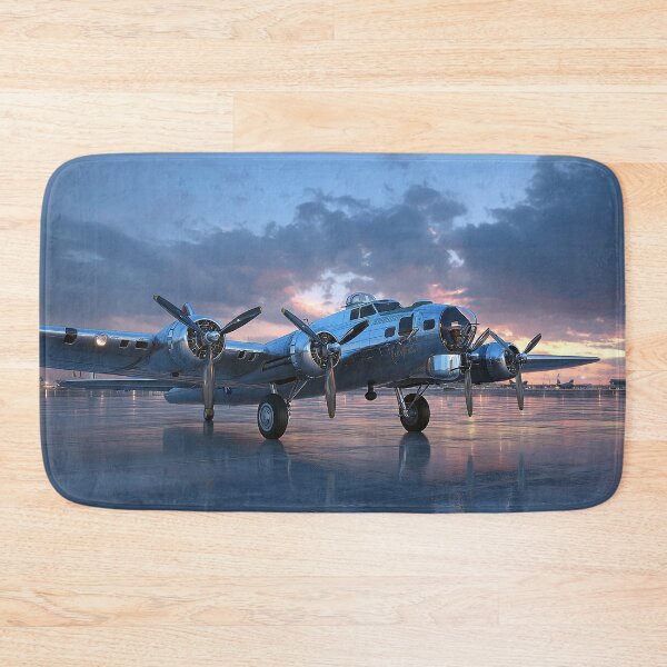 Item preview, B17 Flying Fortress designed and sold by Skyframe Aviation.
