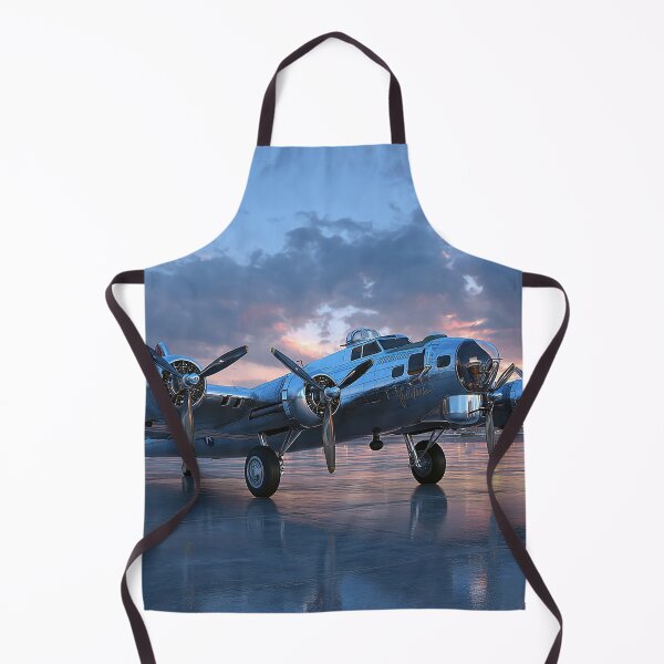 Item preview, B17 Flying Fortress designed and sold by Skyframe Aviation.