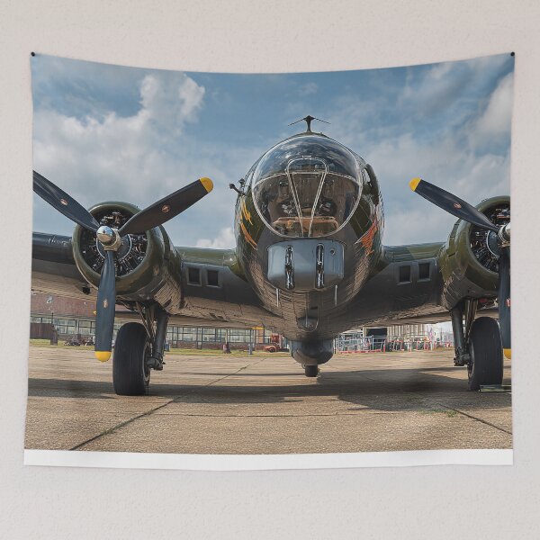Item preview, B17 Flying Fortress designed and sold by Skyframe Aviation.