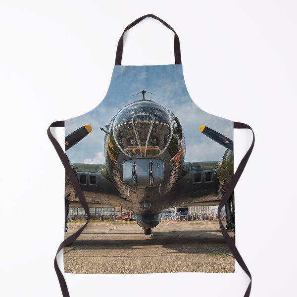 Item preview, B17 Flying Fortress designed and sold by Skyframe Aviation.