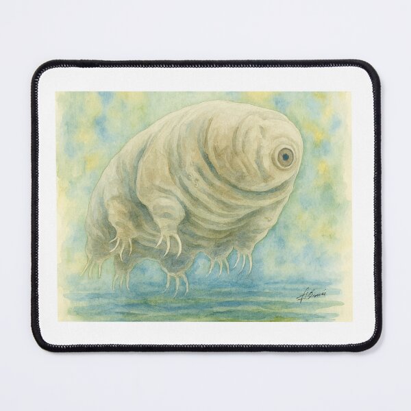 Item preview, chubby water bear designed and sold by Cushion-Crafts.