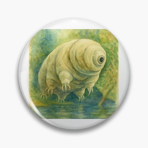 Item preview, water bear and a tummy full of algae designed and sold by Cushion-Crafts.