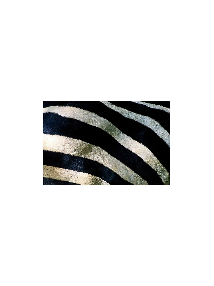 Thumbnail 3 of 3, Scarf, Zebra Patterns designed and sold by RMSphoto.