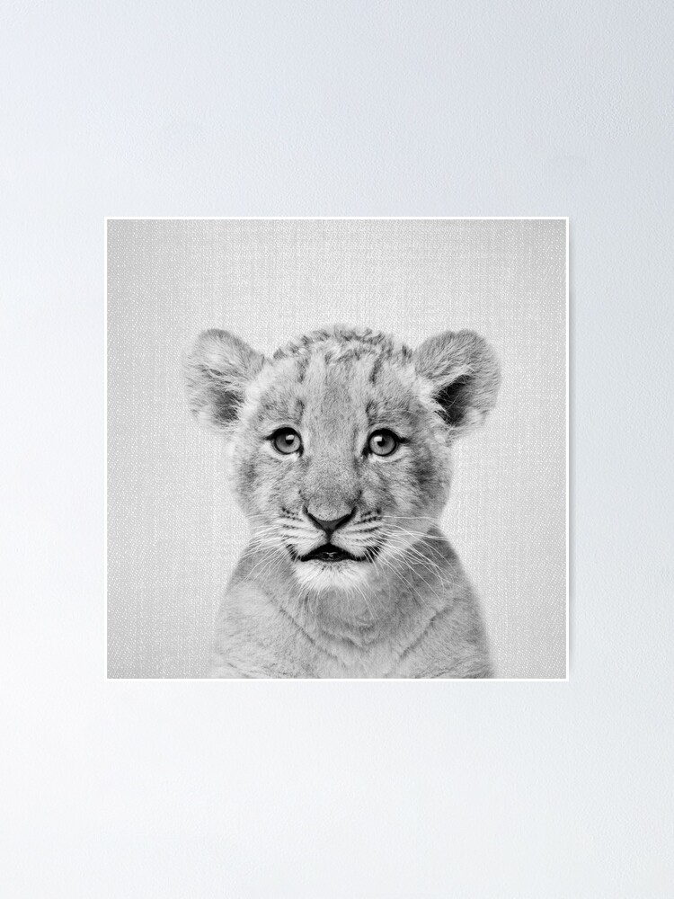 Poster Baby Lion Noir Blanc Par Galdesign Redbubble