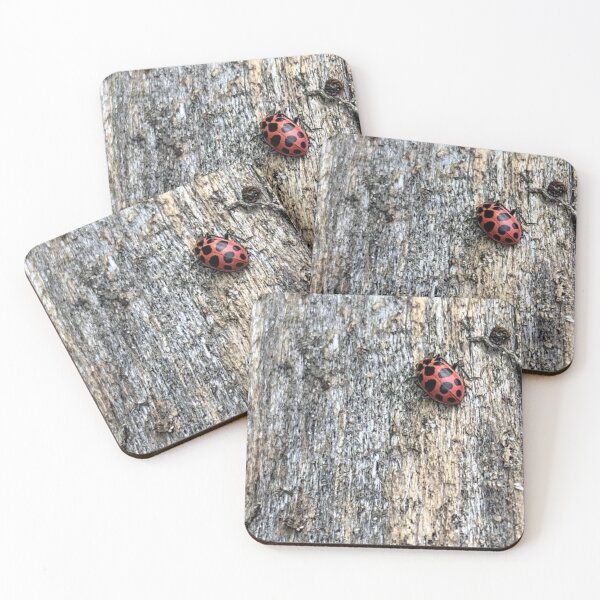 Item preview, Lady bug photography designed and sold by charreadyarts1.