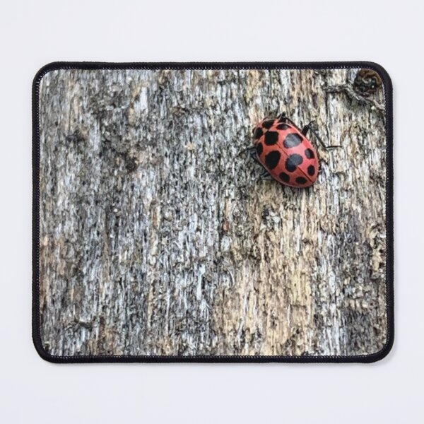 Item preview, Lady bug photography designed and sold by charreadyarts1.