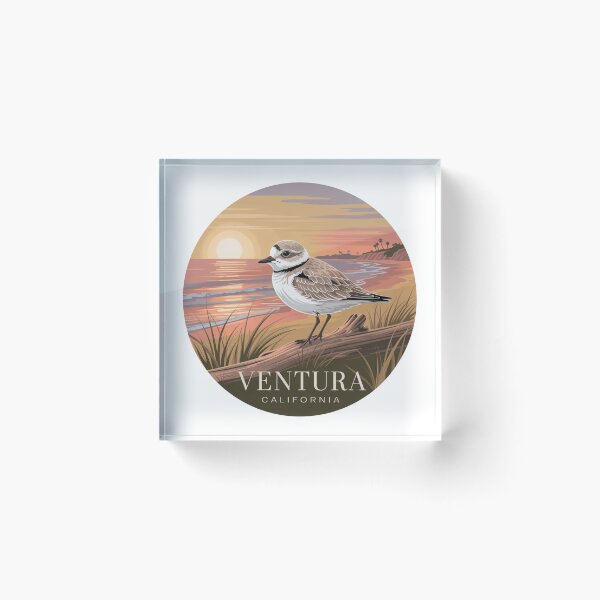 Item preview, Ventura California Snowy Plover Sunset designed and sold by CircinusStore.