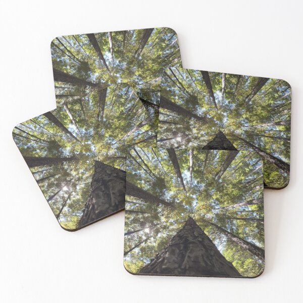 Item preview, Redwood forest, Warburton Victoria designed and sold by rani.