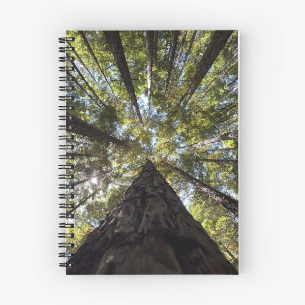 Item preview, Redwood forest, Warburton Victoria designed and sold by rani.