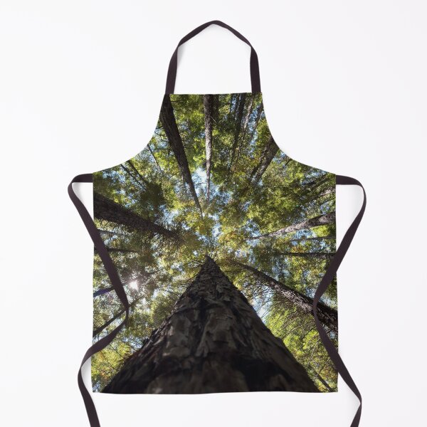 Item preview, Redwood forest, Warburton Victoria designed and sold by rani.