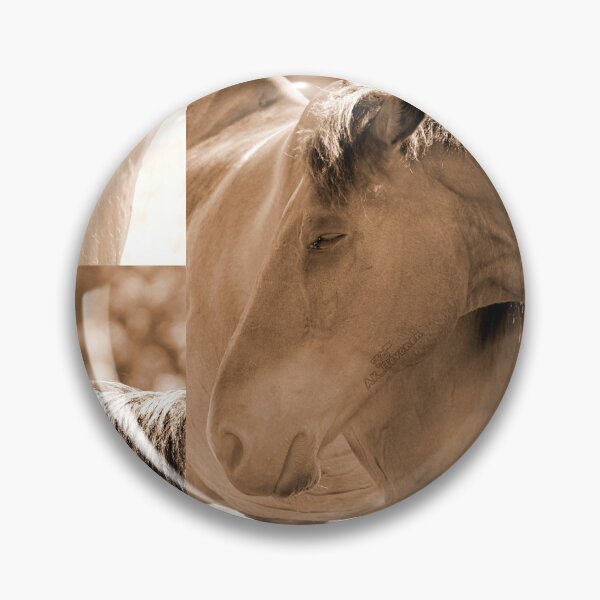Item preview, Horse Photo designed and sold by AK-Hevonen.
