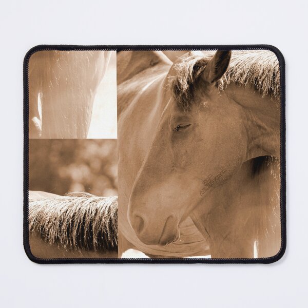 Item preview, Horse Photo designed and sold by AK-Hevonen.