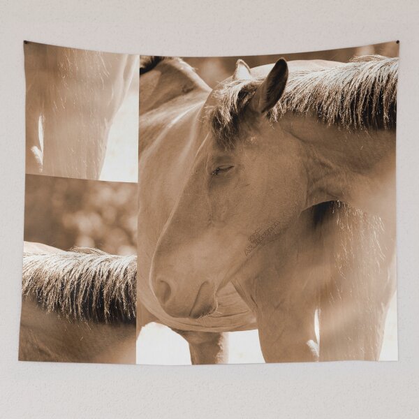 Item preview, Horse Photo designed and sold by AK-Hevonen.