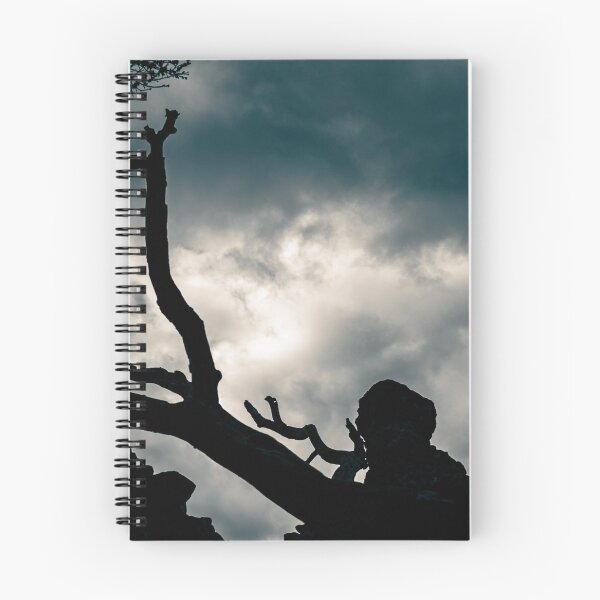 Item preview, Silhouette of Gnarled Tree Branches designed and sold by bence-kis-photo.