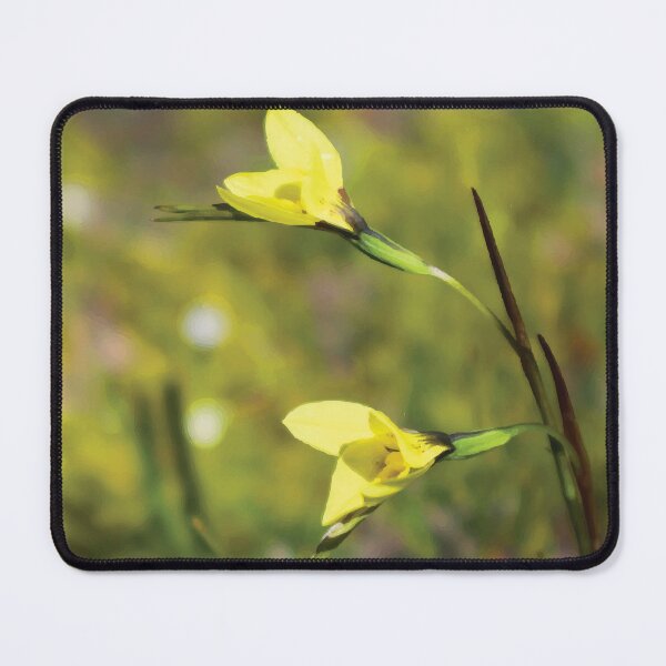 Item preview, Golden Moth Orchids in a Meadow designed and sold by Maddy the Maker.