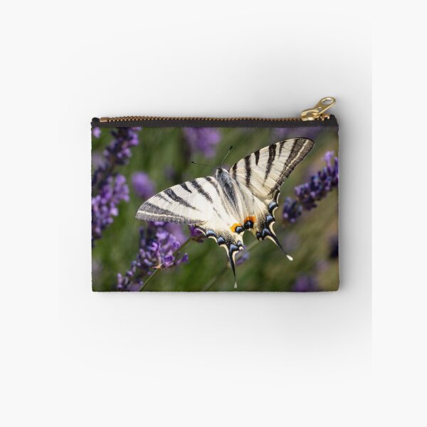 Item preview, Scarce Swallowtail butterfly on lavender in the garden designed and sold by bence-kis-photo.