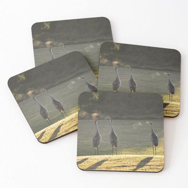 Item preview, Cranes in Morning Light designed and sold by MercerImages.