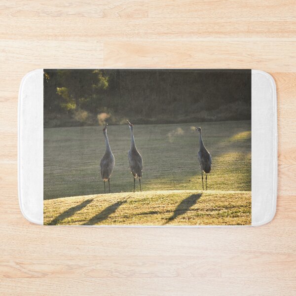 Item preview, Cranes in Morning Light designed and sold by MercerImages.