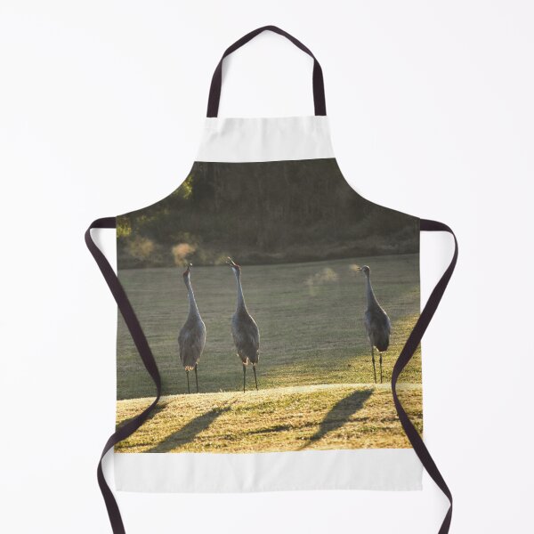 Item preview, Cranes in Morning Light designed and sold by MercerImages.