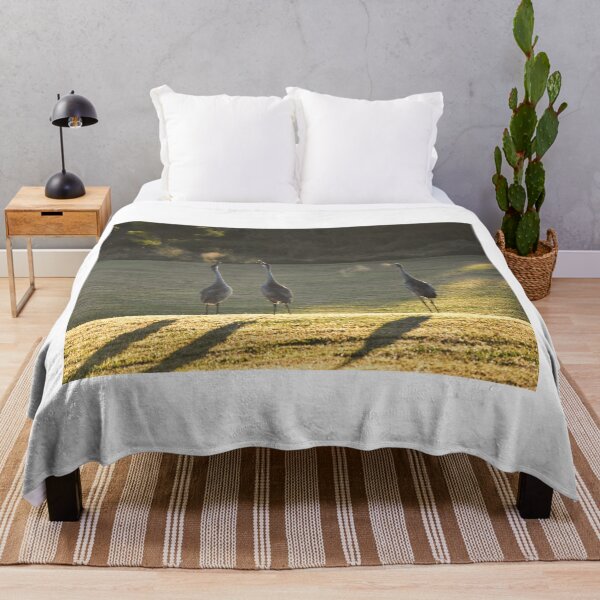Item preview, Cranes in Morning Light designed and sold by MercerImages.