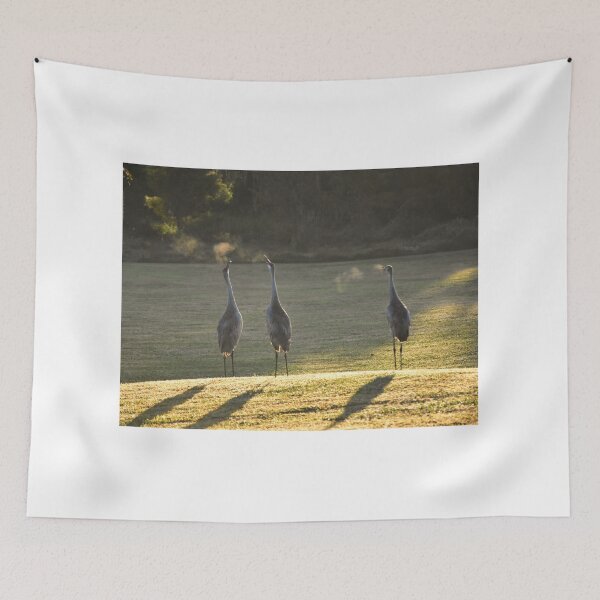 Item preview, Cranes in Morning Light designed and sold by MercerImages.
